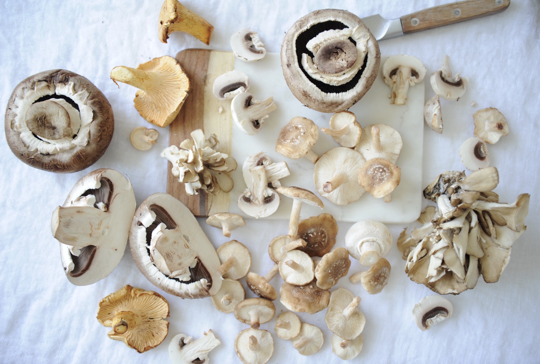 Shiitake Mushrooms  Mushroom Varieties 101